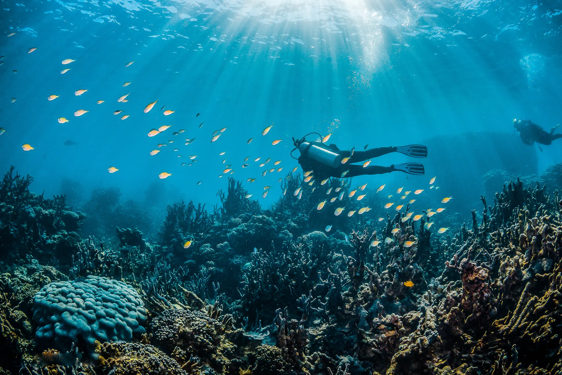 Buceo en Canyamel Mallorca