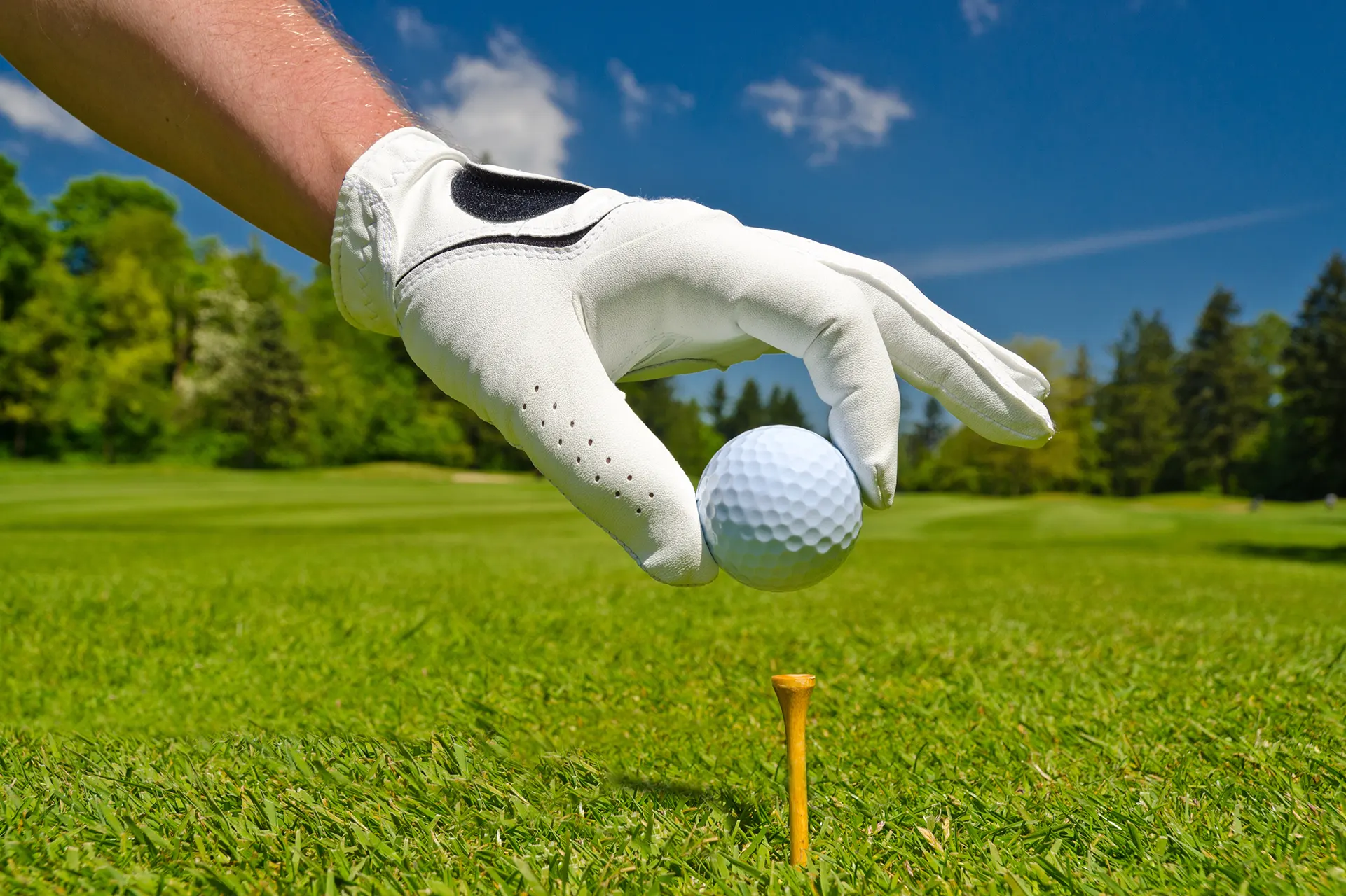 Campo de Golf de Canyamel Mallorca